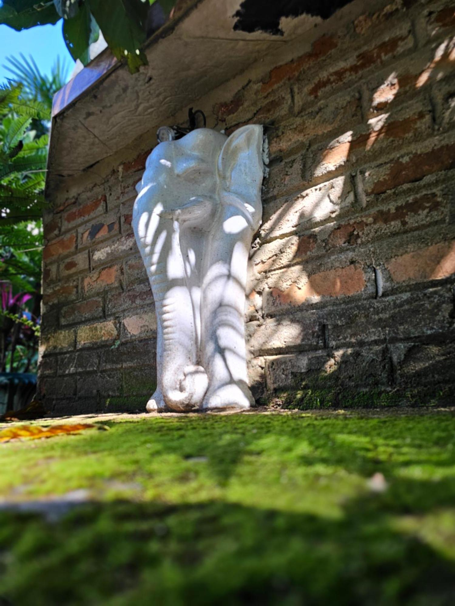 Galkanda Walawwa Kandy Exterior photo